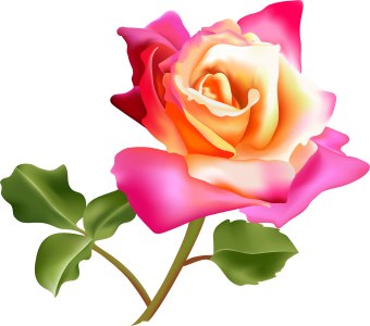 http://www.dailyclipart.net/wp-content/uploads/medium/Flower9.jpg