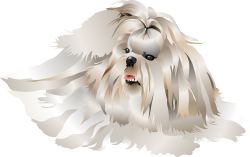 Long-haired Dog clip art