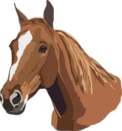 Horse clip art