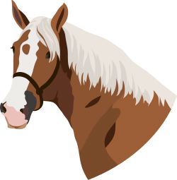 Horse Profile clip art