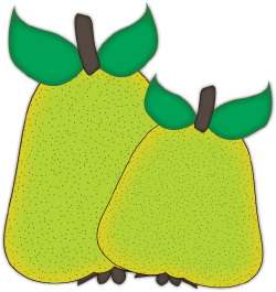 Pears clip art
