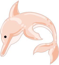 Porpoise clip art