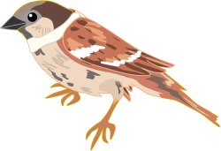 Bird clip art