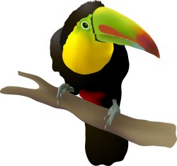 Colorful Toucan Bird clip art
