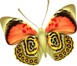 Colorful Moth clip art