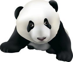Panda Bear clip art