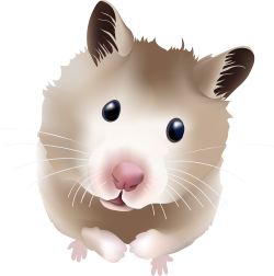 Hamster clip art