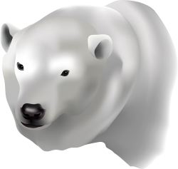 Polar Bear clip art