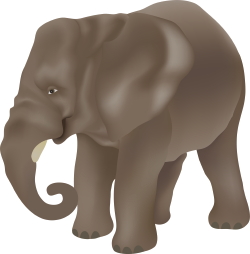 Big Elephant clip art