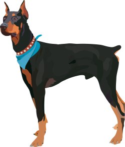 Doberman Pinscher Dog clip art