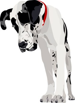 Dalmatian Dog clip art