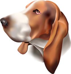 Brown and White Dog clip art