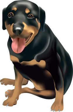Brown and Black Dog clip art
