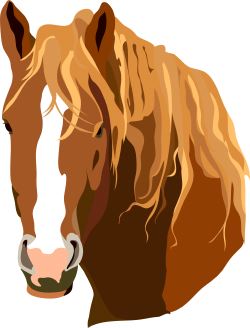 Horse Face clip art