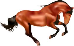 Prancing Horse clip art