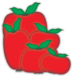 Tomatoes clip art