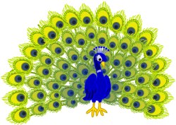 Peacock clip art
