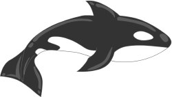 Orca clip art