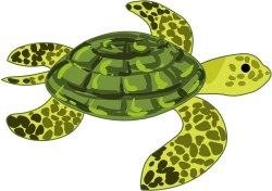 Marine Turtle clip art