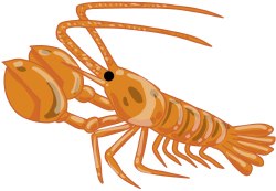 Lobster clip art
