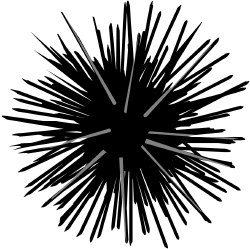 Sea Urchin clip art