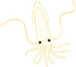 Squid clip art