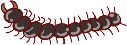 Centipede clip art