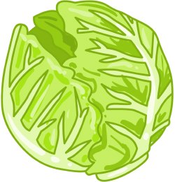 Lettuce clip art